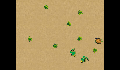 play Turle lettuce snake game (christina P)