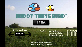 play Shoot These Bird!