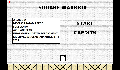 play Square Warrior (No Sound Edition)