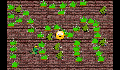 play COODOOK