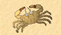 play little crab game