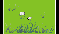 play 12131334_project_.1
