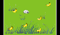 play 12131334_project_.2