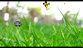 play 12131296_Project_AS