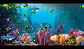 play 12131299_Project_AS_TIA_Regular