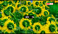 play 12131325_Project_AS