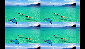 play 12131332_project_AS