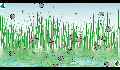play Fly Catcher Multi-Player