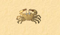 play Crab vs. Lobster