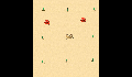 play little-crab