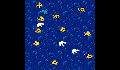 play The little dolphin