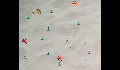 play Little Crab