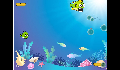play fish