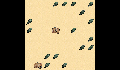 play wombats