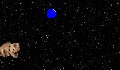 play wombat space race