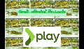 play Coads attacked the snake