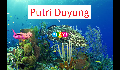 play Putri Duyung
