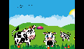 play Sapi Pintar