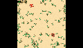 play little-crab-2