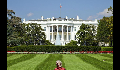 play Road to the White House