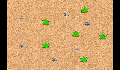 play gameku risky