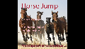 play Horse Jump
