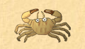 play little-crab