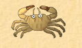 play little-crab