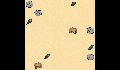 play WombatRock
