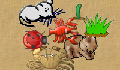 play Food Chain Game