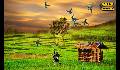 play sakera
