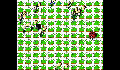 play LadyBird