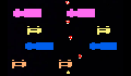 play Frogger
