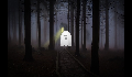 play Ghost in the foggy forest