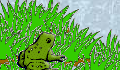 play froggo eats