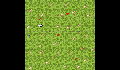 play Elephant Game