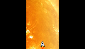 play spiders vs spaceship