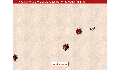 play Bug Simulation - edit