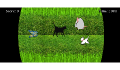play Mouse hunt
