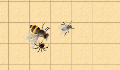 play BeeWorld