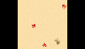 play Little Crab