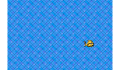 play Catch the fish