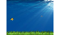 play fisheat