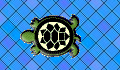 play Turtle Dance