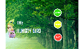 play Hungry Bird