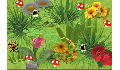play Abejas