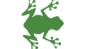 play Real Frogger