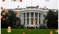 play Trump's Ego Inflating Adventure