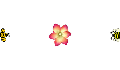 play FlowerGatherer