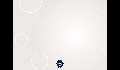 play Bee修改版31025